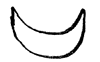 drawing of a crescent moon looked at by Julius