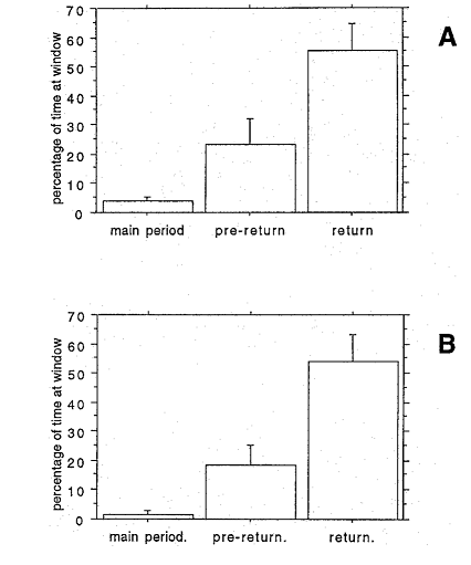 graphs