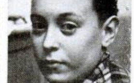 James Herrmann, aged 12, was the focus of the anomalous disturbances at his family's Seaford, Long Island home James Herrmann, aged 12, was the focus of the anomalous disturbances at his family's Seaford, Long Island home