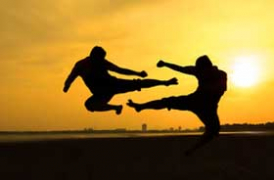 Psi and Martial Arts Psi and Martial Arts