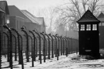 photograph of Auschwitz death camp