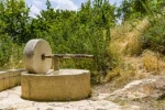 photograph of an old-fashioned olive press in an olive grove