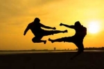 Psi and Martial Arts
